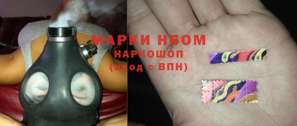 ПСИЛОЦИБИНОВЫЕ ГРИБЫ Белокуриха