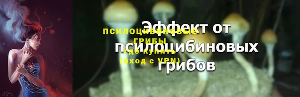 ПСИЛОЦИБИНОВЫЕ ГРИБЫ Белокуриха