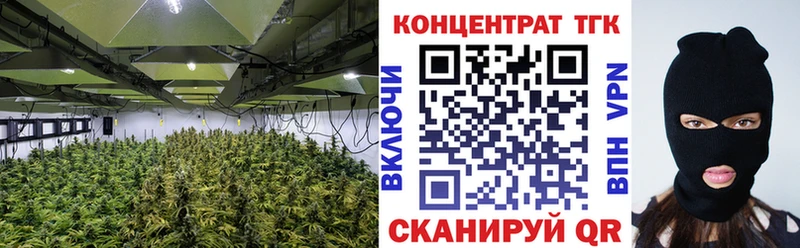 нарко площадка телеграм Торопец Дистиллят ТГК Wax